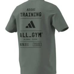 Aeroready All-Gym Category Graphic Herren T-Shirt
