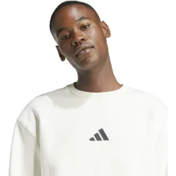 ALL SZN Fleece Graphic Herren Sweatshirt