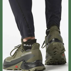 Alphacross 5 GTX Herren Trailrunningschuhe