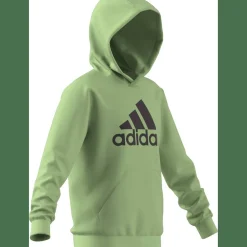 Big Logo Essentials Cotton Hoodie Kinder Kapuzensweater