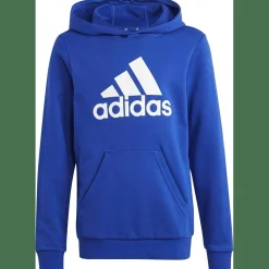 Big Logo Essentials Cotton Hoodie Kinder Kapuzensweater