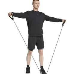 Designed for Training Herren Sweatshirt