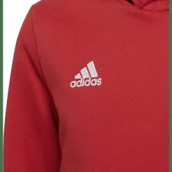 Entrada 22 Sweat Hoodie Kinder Kapuzensweater
