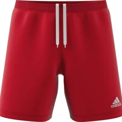 Entrada 22 Herren Shorts
