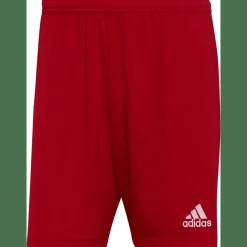 Entrada 22 Herren Shorts