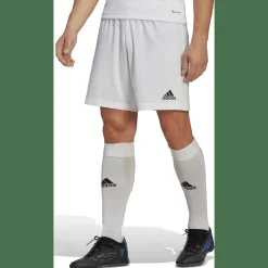 Entrada 22 Herren Shorts