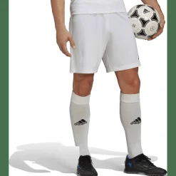 Entrada 22 Herren Shorts