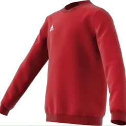 Entrada 22 Sweatshirt Kinder Sweatshirt