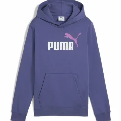ESS 2 Color No. 1 Logo FL Jungen Kapuzensweater