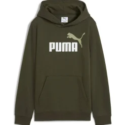ESS 2 Color No. 1 Logo FL Jungen Kapuzensweater