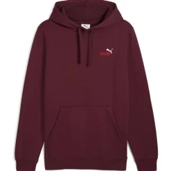 ESS 2 Color Small No. 1 Logo FL Herren Kapuzensweater