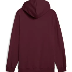 ESS 2 Color Small No. 1 Logo FL Herren Kapuzensweater