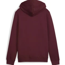 ESS 2 Color Small No. 1 Logo FL Jungen Kapuzensweater