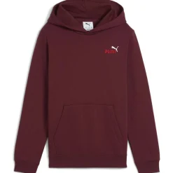 ESS 2 Color Small No. 1 Logo FL Jungen Kapuzensweater