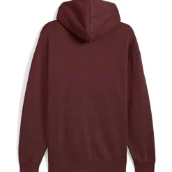 ESS Elevated Relaxed Wash FL Herren Kapuzensweater