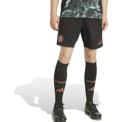 FC Bayern München 24/25 Auswärtsshorts Herren Teamhose