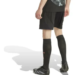 FC Bayern München 24/25 Auswärtsshorts Herren Teamhose