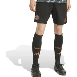 FC Bayern München 24/25 Auswärtsshorts Herren Teamhose