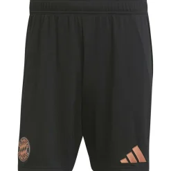 FC Bayern München 24/25 Auswärtsshorts Herren Teamhose