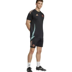 FC Bayern München Tiro 24 Trainingsshorts Herren Fußballhose