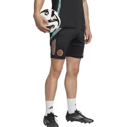 FC Bayern München Tiro 24 Trainingsshorts Herren Fußballhose