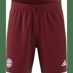 FC Bayern München DNA Herren Fußballhose