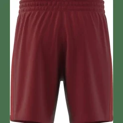 FC Bayern München DNA Herren Fußballhose