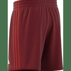 FC Bayern München DNA Herren Fußballhose