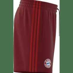 FC Bayern München DNA Herren Fußballhose