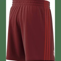 FC Bayern München DNA Herren Fußballhose