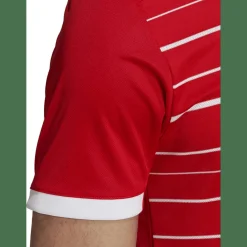 FC Bayern München 22/23 Heimtrikot Herren Sweatshirt