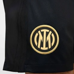 Inter Mailand Dri-Fit Stadium Home Herren Teamhose