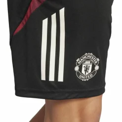 Manchester United Tiro 24 Trainingsshorts Herren Fußballhose