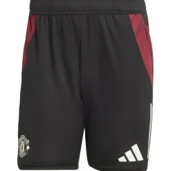 Manchester United Tiro 24 Trainingsshorts Herren Fußballhose