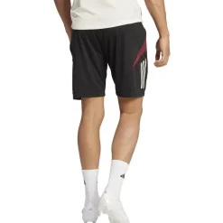 Manchester United Tiro 24 Trainingsshorts Herren Fußballhose