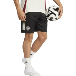 Manchester United Tiro 24 Trainingsshorts Herren Fußballhose