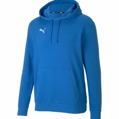TeamGOAL 23 Causals Herren Kapuzensweater