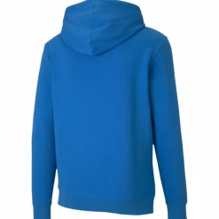 TeamGOAL 23 Causals Herren Kapuzensweater
