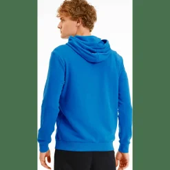 TeamGOAL 23 Causals Herren Kapuzensweater