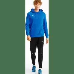 TeamGOAL 23 Causals Herren Kapuzensweater