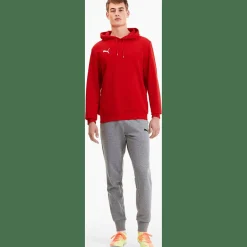 TeamGOAL 23 Causals Herren Kapuzensweater