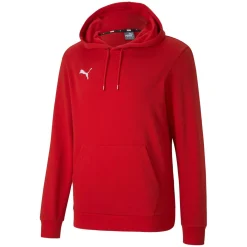TeamGOAL 23 Causals Herren Kapuzensweater
