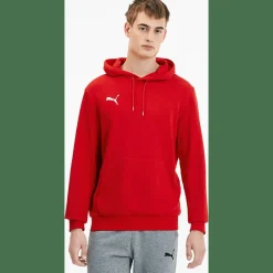 TeamGOAL 23 Causals Herren Kapuzensweater