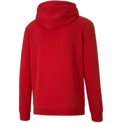 TeamGOAL 23 Causals Herren Kapuzensweater