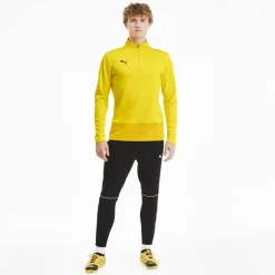 TeamGOAL 23 Training 1/4 Zip Top Herren Sweatshirt
