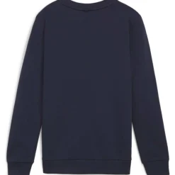 teamGOAL Casuals Crew Neck Junior Jungen Sweatshirt