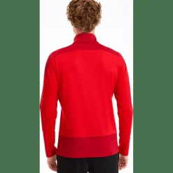TeamGOAL 23 Training 1/4 Zip Top Herren Sweatshirt