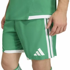 Tiro26 Competition Match DAY Shorts Herren Shorts
