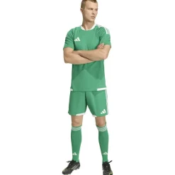 Tiro26 Competition Match DAY Shorts Herren Shorts