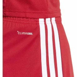 Tiro26 League Herren Shorts